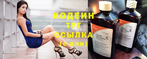 PSILOCYBIN Корсаков
